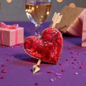 Daisy Textured Red Enameled Heart Goldtone Arrow Brooch NWOT